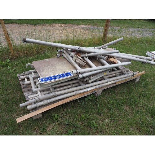 Lot 51        