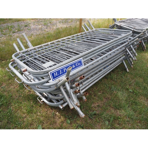 Lot 53        