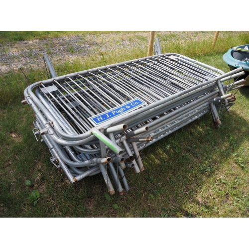 Lot 54        