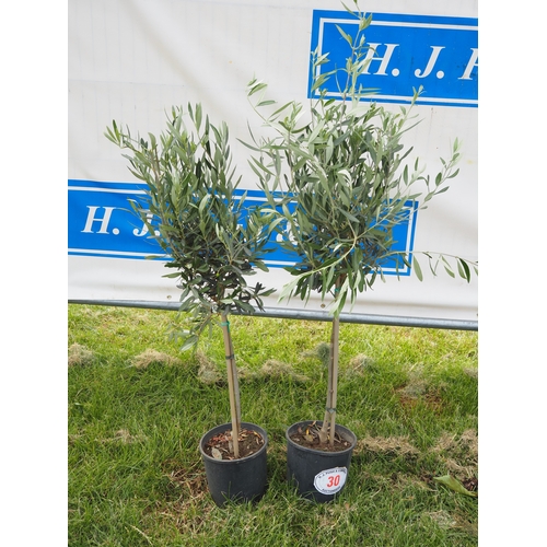 Lot 30        