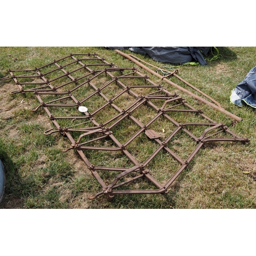 Lot 795       