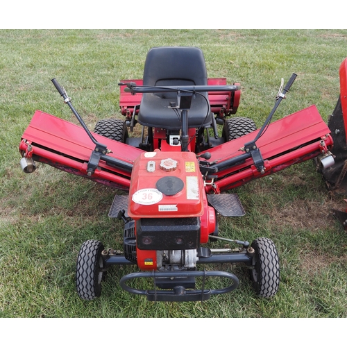 Lot 36        