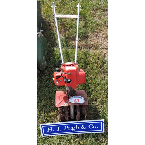 Lot 47        