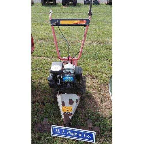 Lot 49        