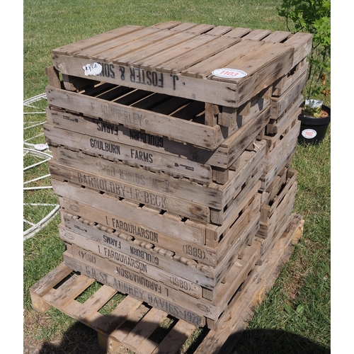 Chitting trays
