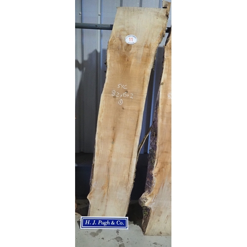 Lot 11        