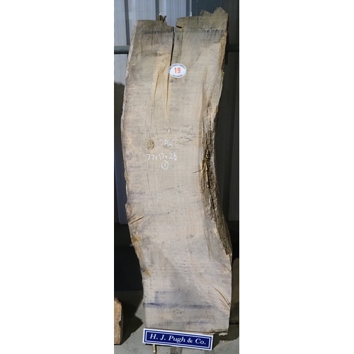 Lot 19        