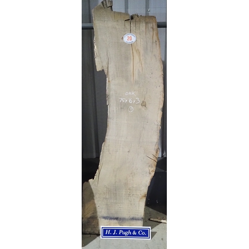 Lot 20        