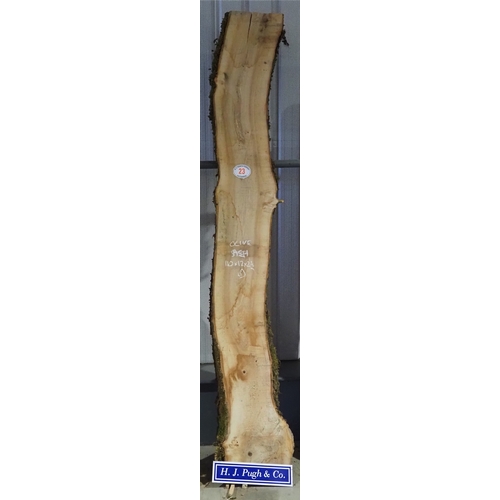 Lot 23        