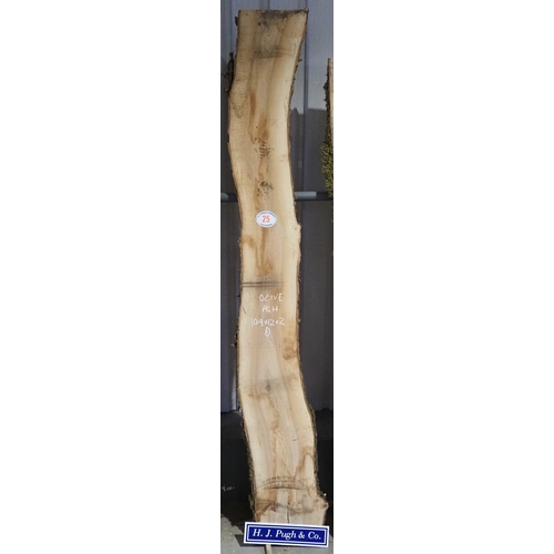 Lot 25        