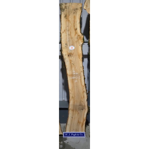 Lot 28        