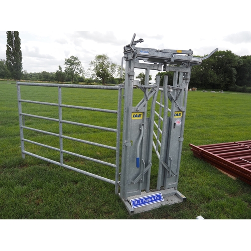 IAE cattle yoke and galvanised hurdles 7ft
