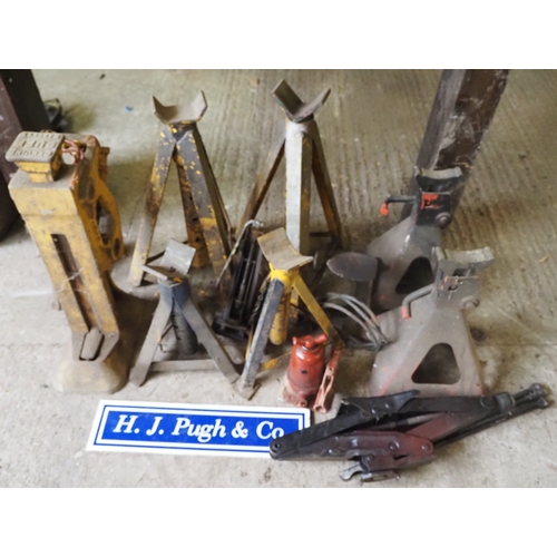 Lot 523       