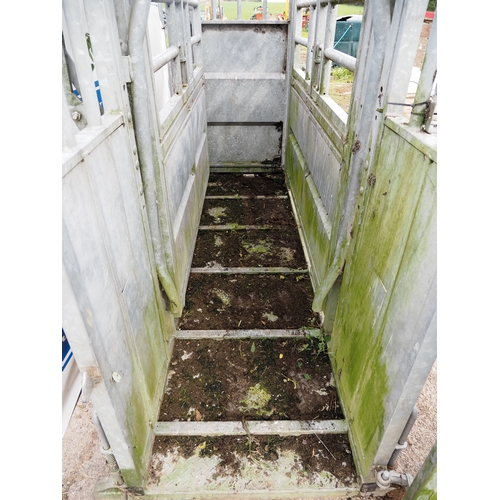 59 - Bateman cattle handling crush