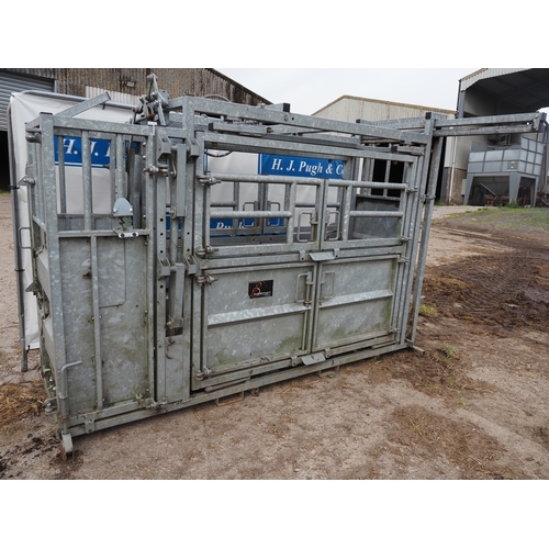 59 - Bateman cattle handling crush