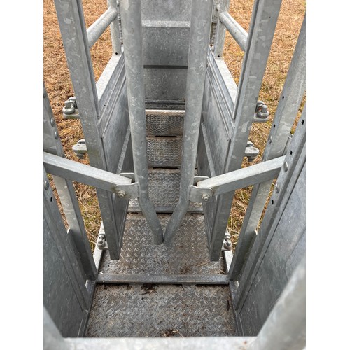 59 - Bateman cattle handling crush