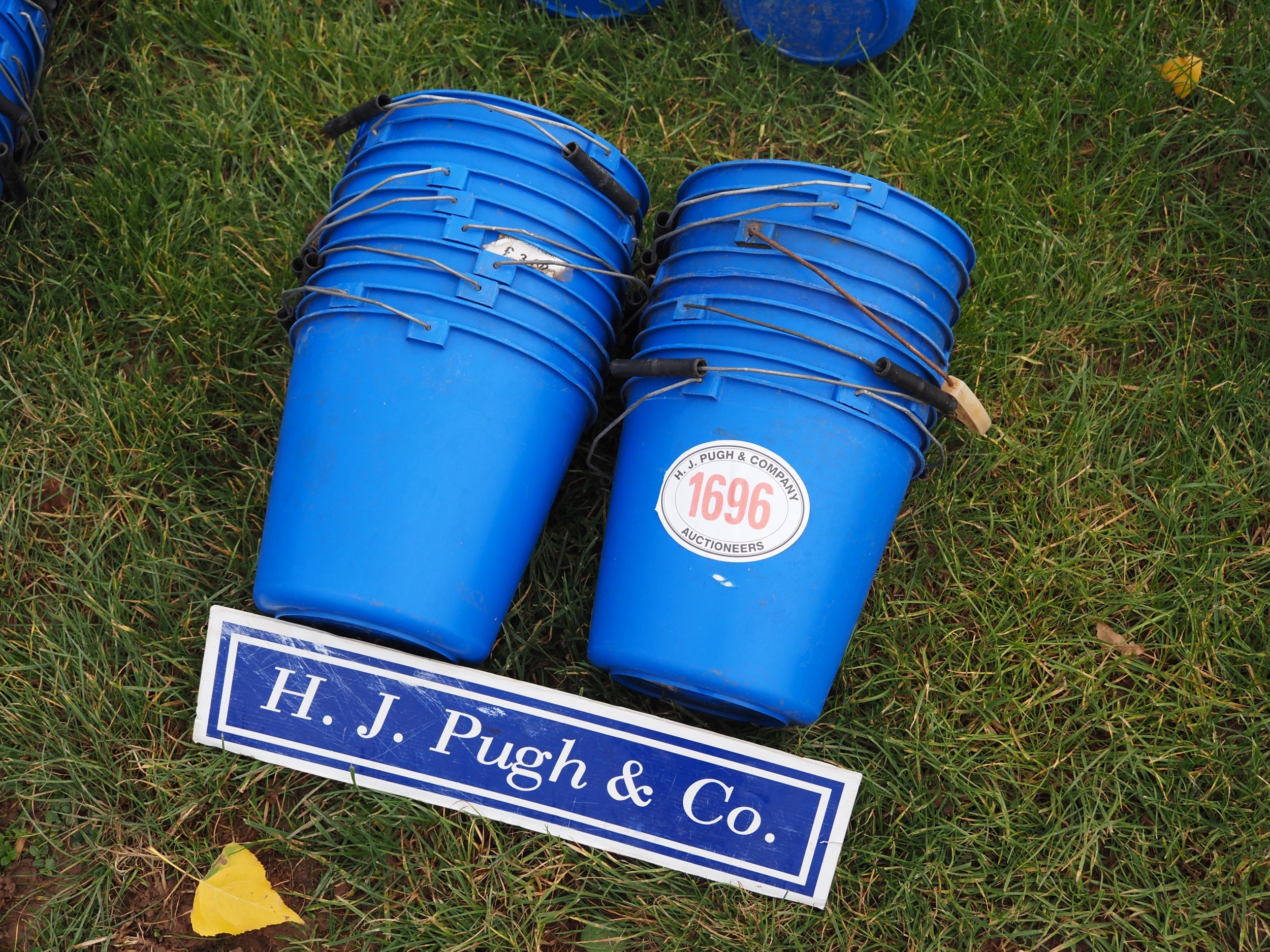 Blue buckets - 20
