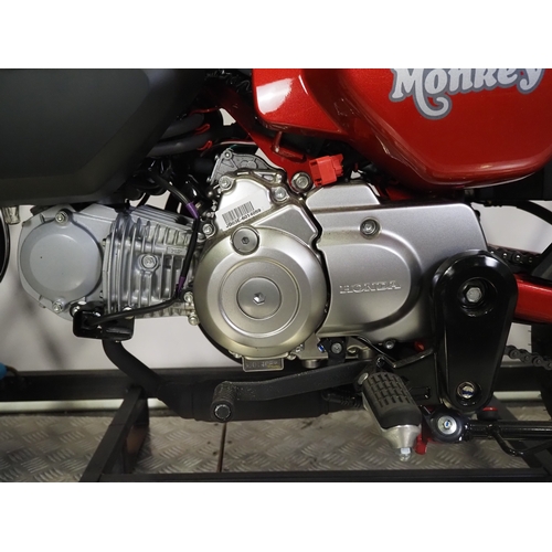 Honda Z125 Monkey bike. 2022. 125cc. Frame No. MLHJB03A1N5008280 Engine ...