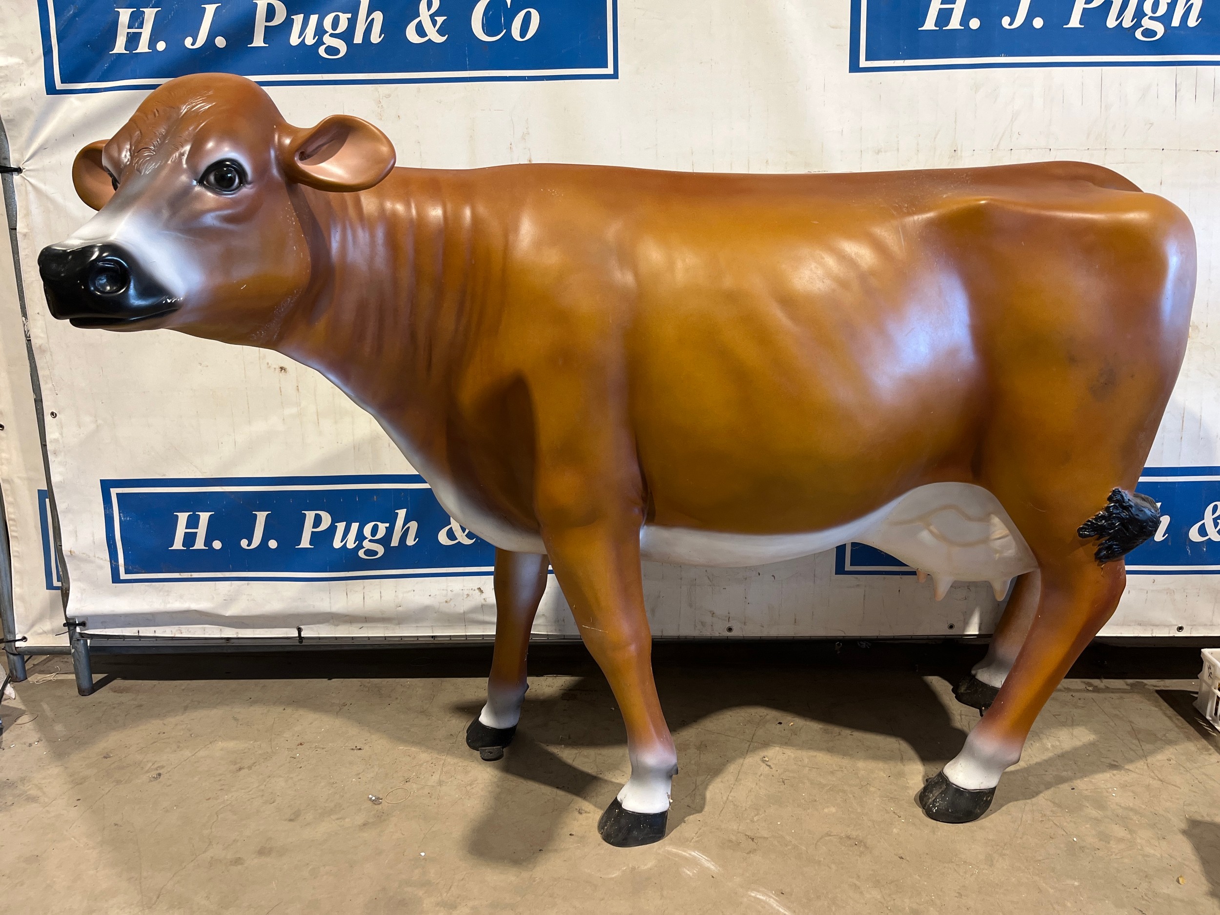 Model cow 6ft long