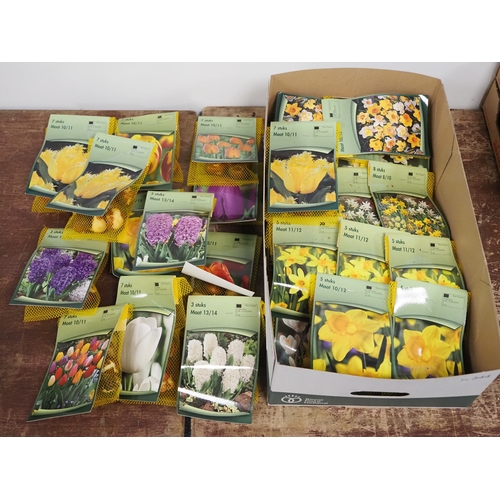 Quantity of assorted bulbs - approx. 50 nets