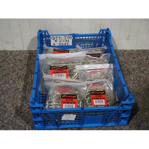 R clips 4 sizes - 300