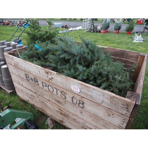 Box of various rockery trees