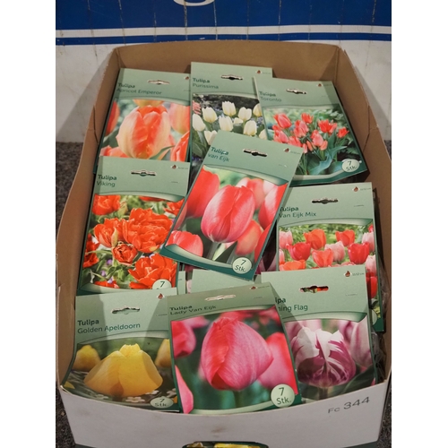 Large quantity of assorted bulbs