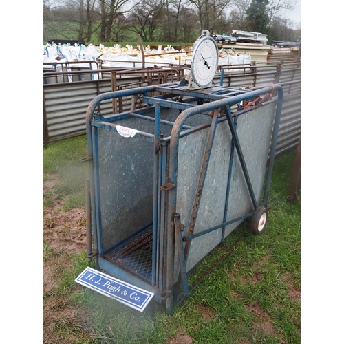 Poldenvale lamb scales