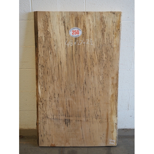 Spalted beech 48