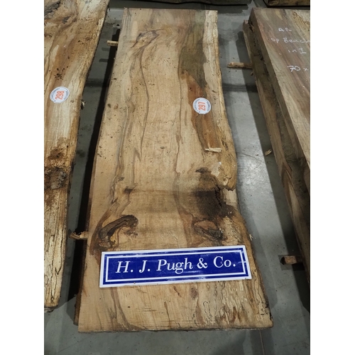 Spalted Beech 70