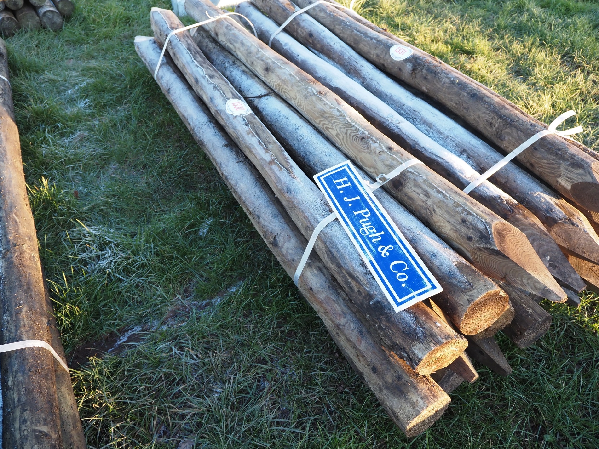 Pointed posts 7ft x5/6"- 10