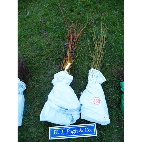 339 - Common Osier hedging - 50