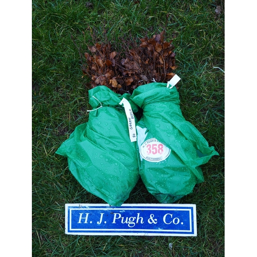 358 - Green Beech hedging - 100