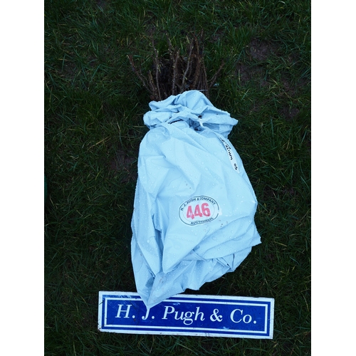 446 - White Japanese Rose - 50