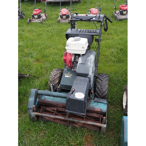 Lot 20        