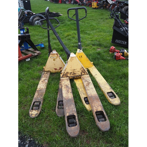 Lot 55        