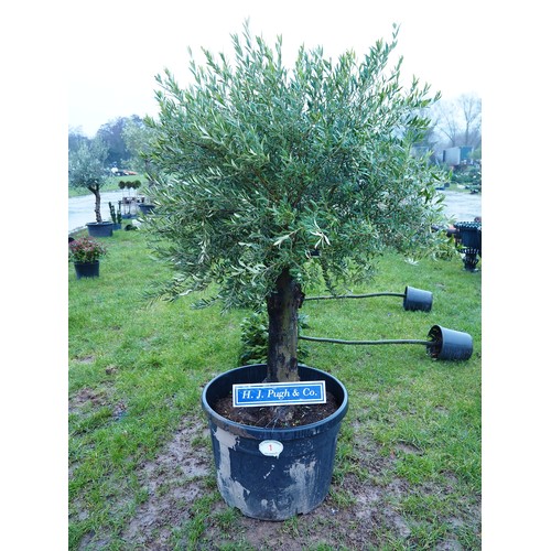 End of sale
