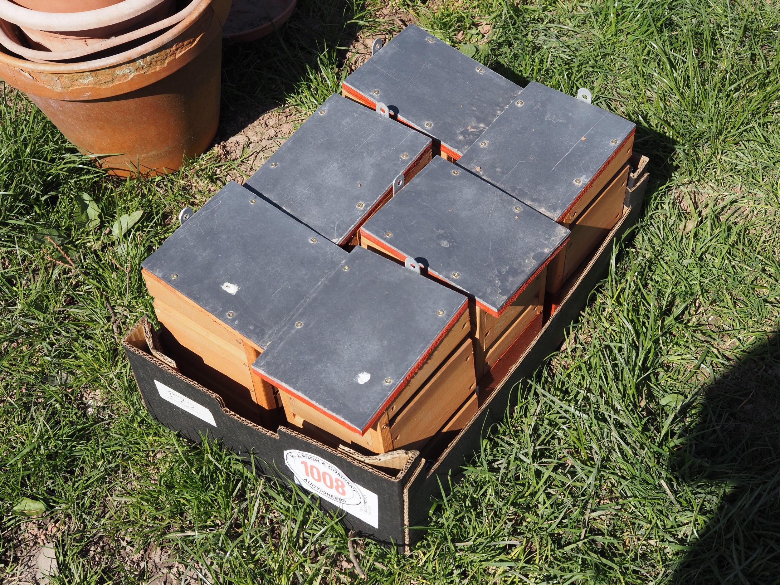 Bird boxes - 6