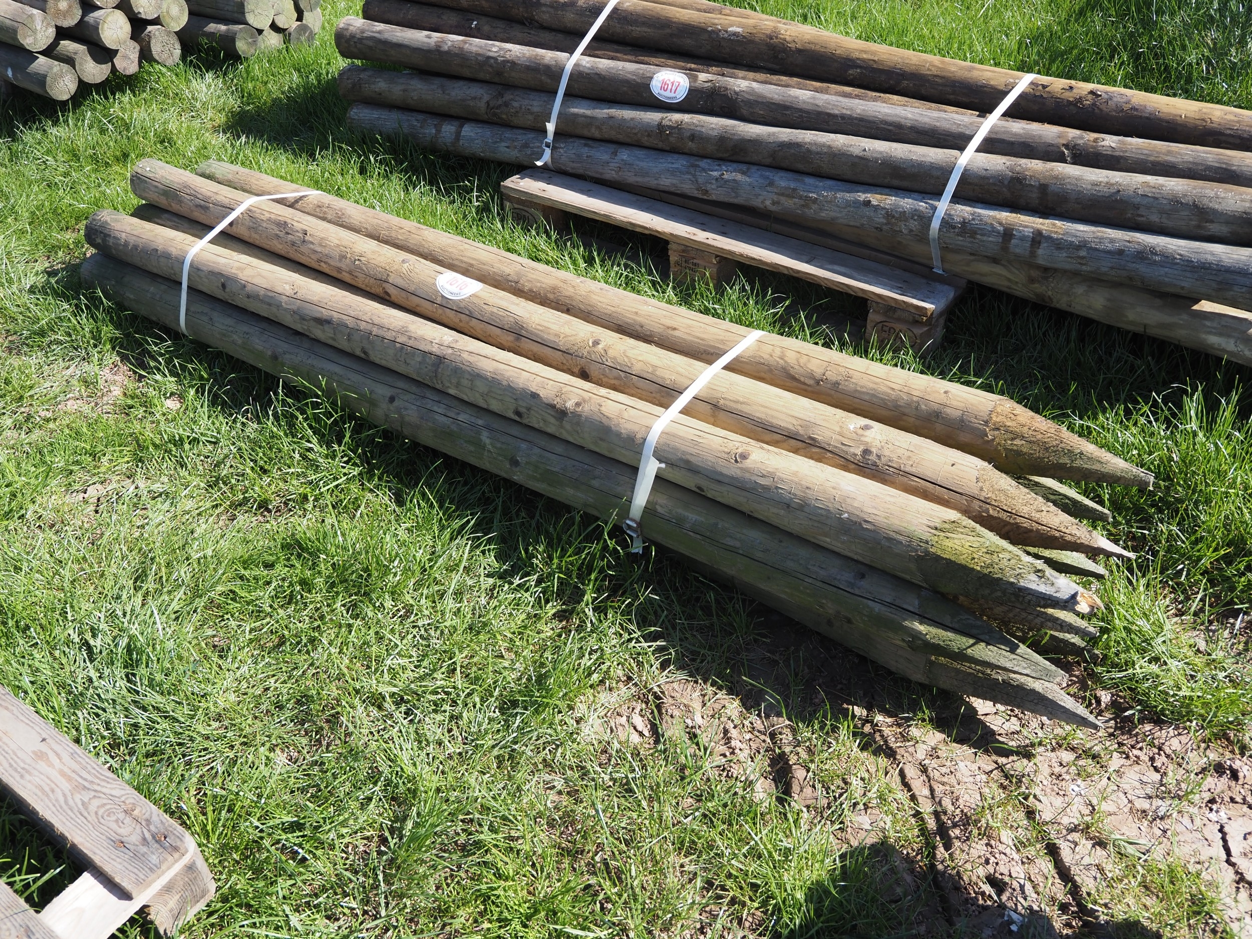 Pointed posts 8ft x4/5" - 10
