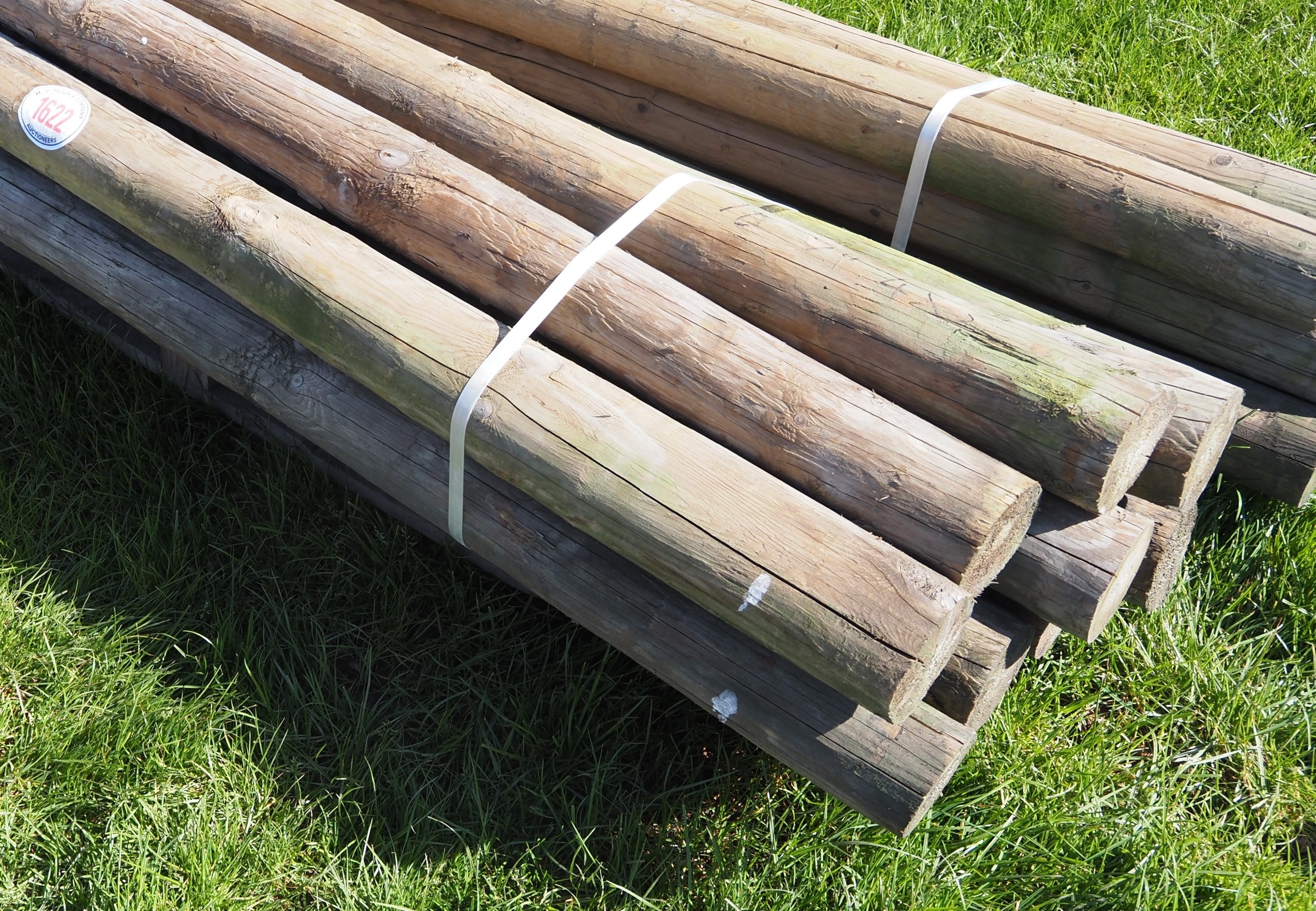 Pointed posts 7ft x 4/5" - 10