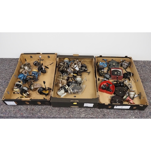 Lot 21        