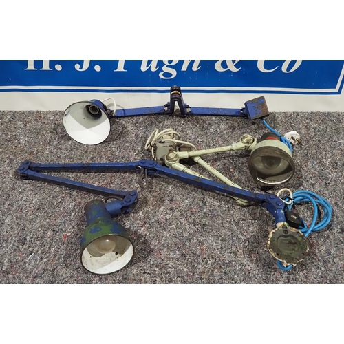 Lot 203       