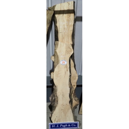 Lot 29        