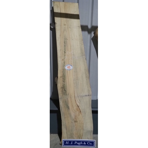 Lot 43        