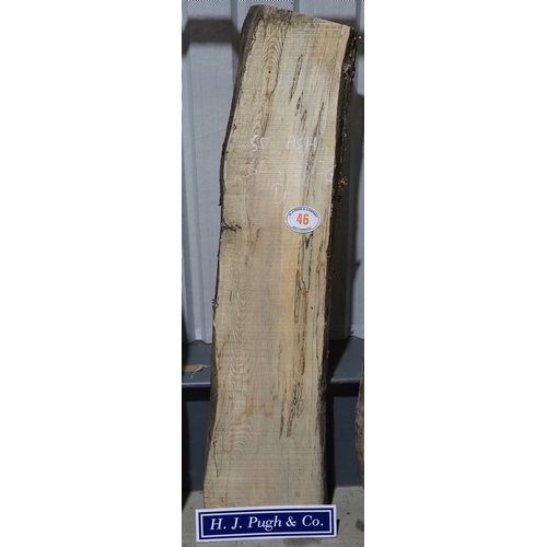 Lot 46        
