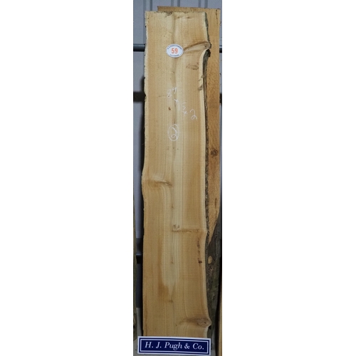 Lot 59        
