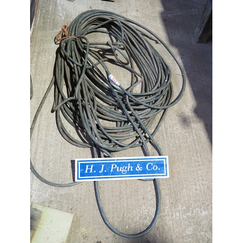 Lot 107       