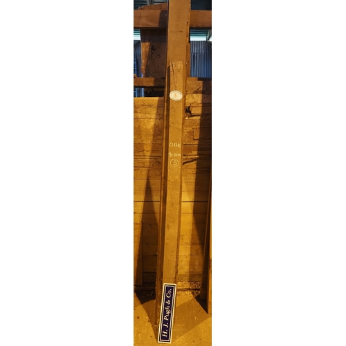 Lot 5         