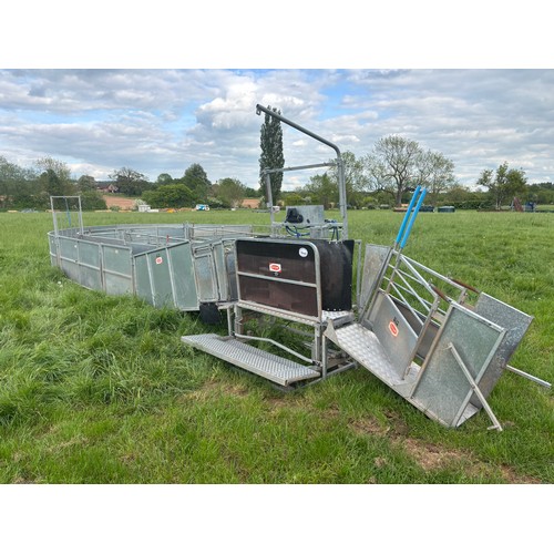 Ritchie sheep handling system