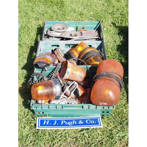 Lot 7         
